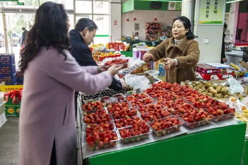 互聯(lián)網(wǎng)買菜風(fēng)潮下，實(shí)體農(nóng)貿(mào)市場為何依然不可或缺？